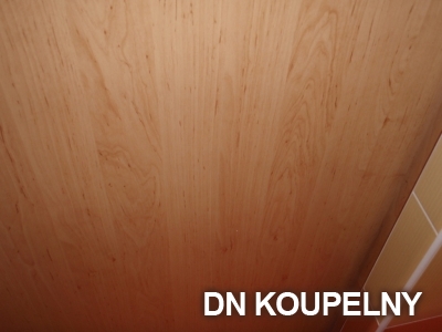 8-431-rekonstrukce-koupelny-orlova-small.jpg